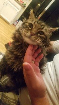Photo of Cat M.