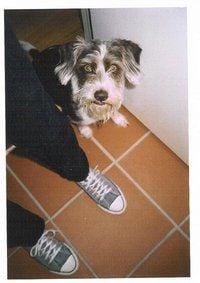 Photo of Reenie S.