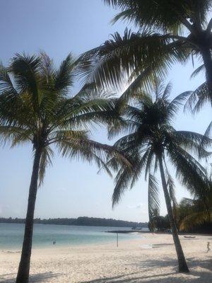 photo of Brittany B.