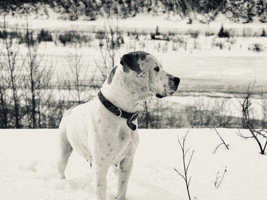 Photo of Stephanie L.