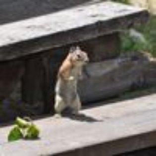 Photo of Michelle P.