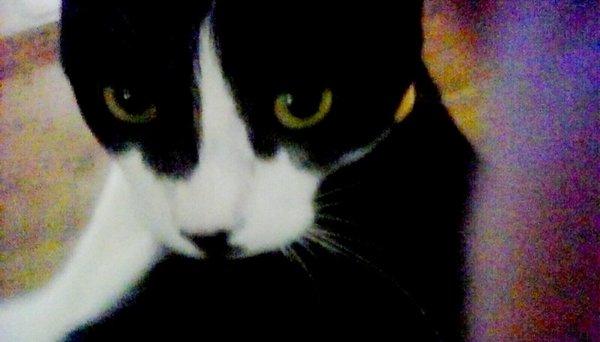 photo of Hailey Marie B.