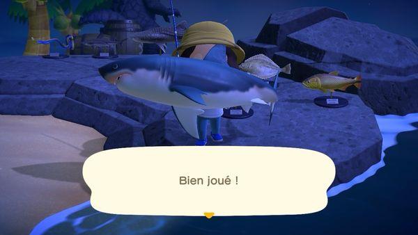 photo of Voices of D.