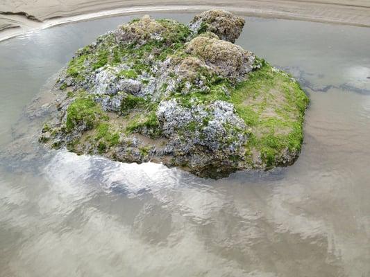 Photo of Jeannine R.