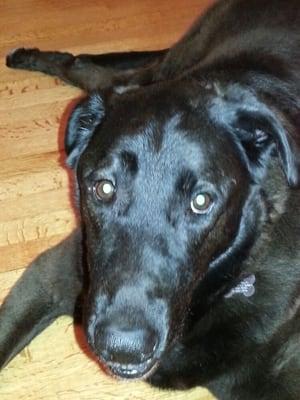 photo of Christopher F.