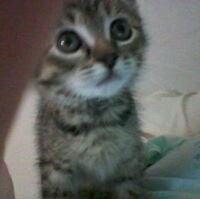 photo of Elizabeth Z.