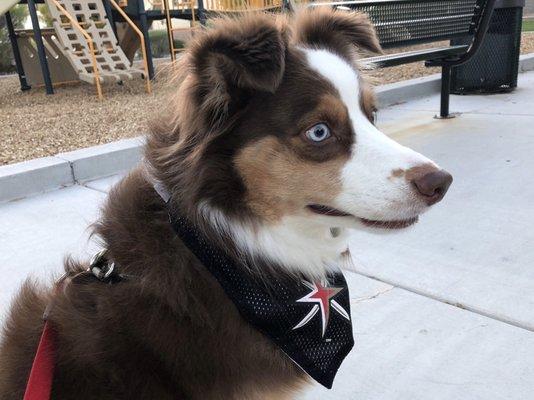 photo of Michelle M.