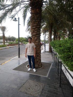Photo of Armin V.