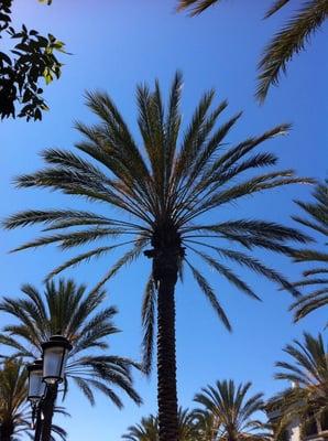 photo of Courtney P.