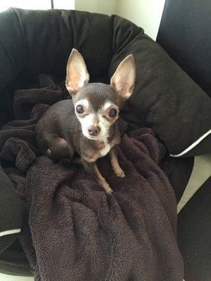 photo of Stephanie P.