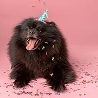 photo of Jennifer T.