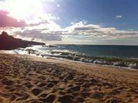 photo of Christopher J.