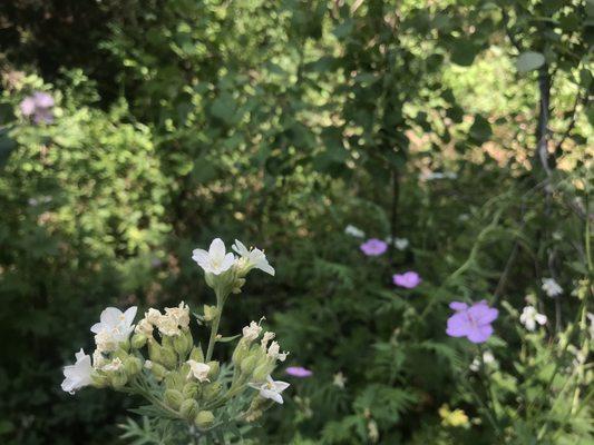 photo of Christina S.