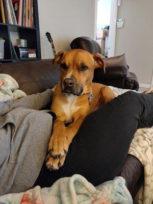 photo of Courtney S.