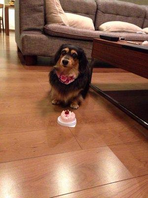 photo of Sujātā K.