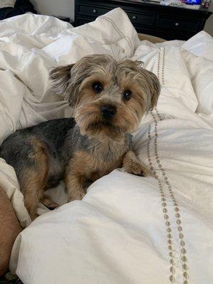 photo of Jeannette A.