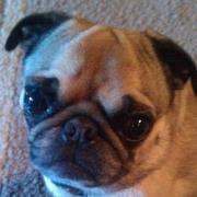 photo of Jennifer C.