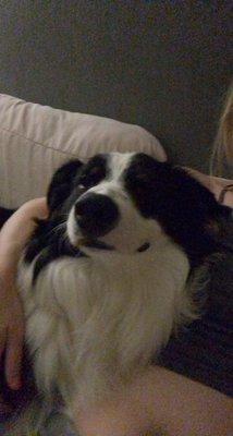 photo of Christine B.