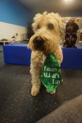 photo of Christie E.