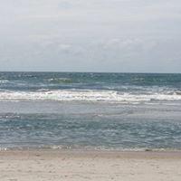 photo of Michelle H.