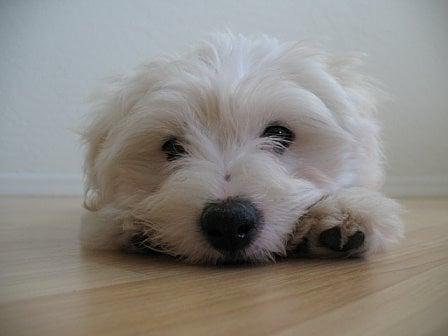 photo of Clarissa C.