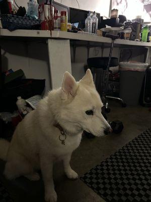 photo of Ellen E. R.