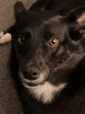 Photo of Patricia M.