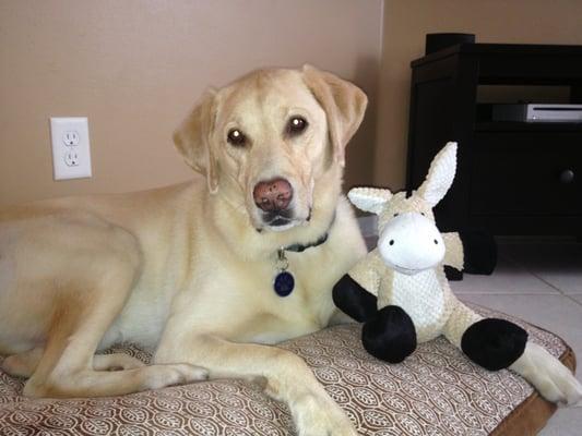 Photo of Lisa J.