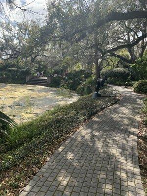 photo of Vera-ellen T.
