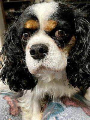 photo of Christine S.