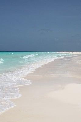 Photo of NJ Beach Bumm 1.