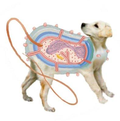 photo of Jonathan B.