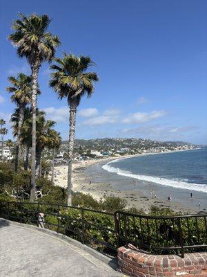 photo of Markwillbark W.