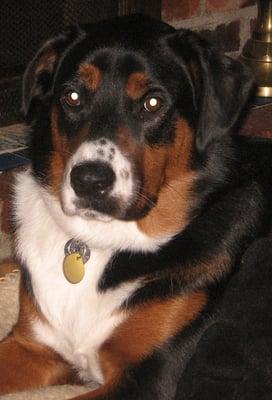 Photo of Kathy M.
