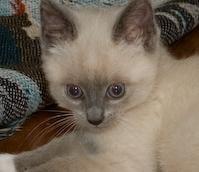 Photo of Kelly P.