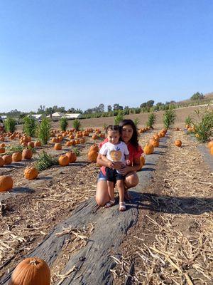 photo of Berenice M.