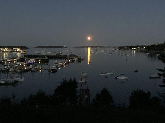 photo of Kristine W.