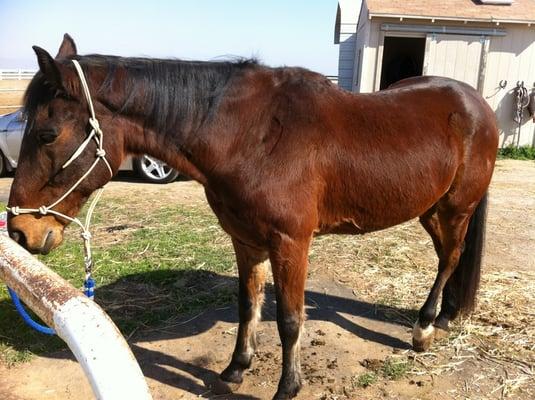 photo of Stephanie R.