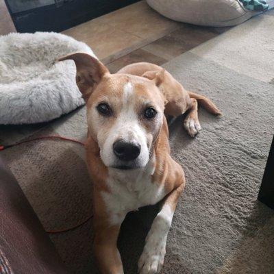 photo of Average Couple R.