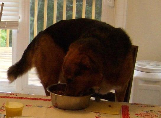 Photo of Elizabeth S.