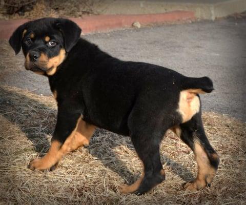 photo of Kathleen V.