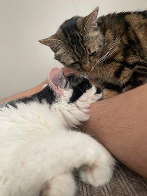 photo of Jennifer R.