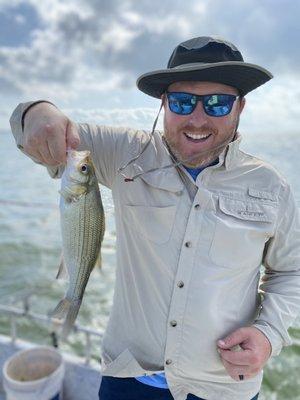 Photo of Bob M.