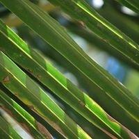 photo of Jennifer S.