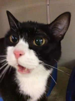 photo of Elphaba59 W.