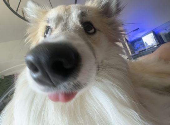 Photo of Maddie S.