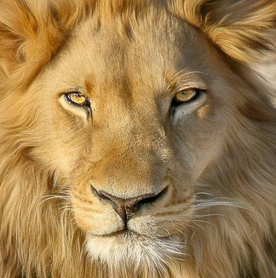 photo of Carolanne R.