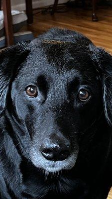 photo of M T.