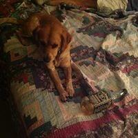 Photo of Joey C.