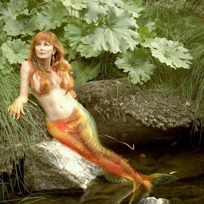 Photo of Damselflyjewels ..